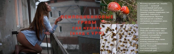 соль курить ск Алзамай