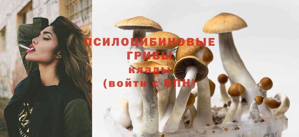 соль курить ск Алзамай