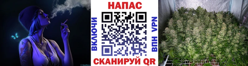 Шишки марихуана сатива  дарнет шоп  площадка Telegram  Щёкино 